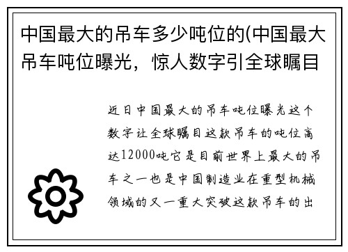 中国最大的吊车多少吨位的(中国最大吊车吨位曝光，惊人数字引全球瞩目)