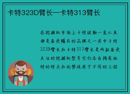 卡特323D臂长—卡特313臂长