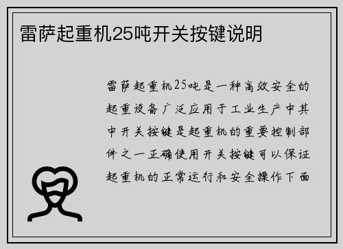 雷萨起重机25吨开关按键说明
